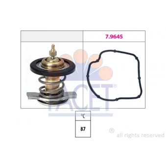 Thermostat d'eau FACET
