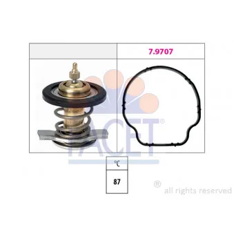 Thermostat d'eau FACET 7.8805
