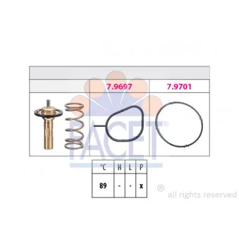 Thermostat d'eau FACET 7.8826