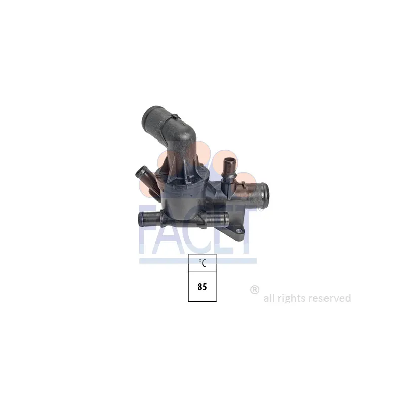 Thermostat d'eau FACET 7.8993