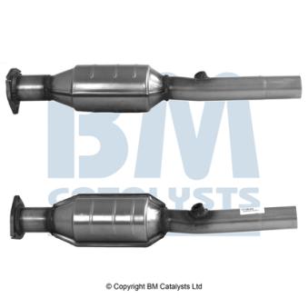 Catalyseur BM CATALYSTS