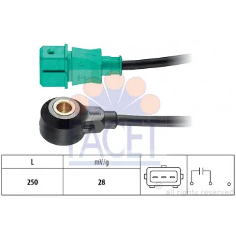 Capteur de cognement FACET 9.3057