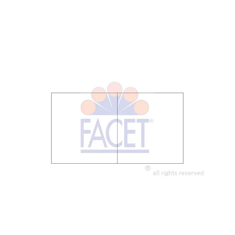 Bobine d'allumage FACET 9.6485