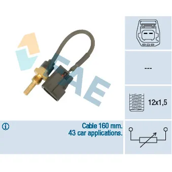 Sonde de température, liquide de refroidissement FAE 32425