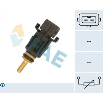 Sonde de température, liquide de refroidissement FAE 33167