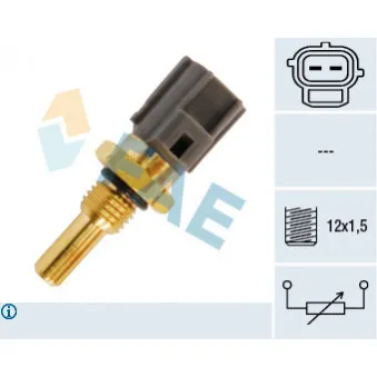 Sonde de température, liquide de refroidissement FAE 33245