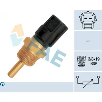 Sonde de température, liquide de refroidissement FAE 33310
