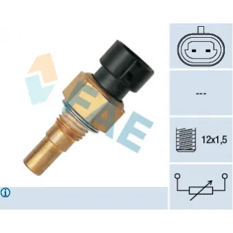 Sonde de température, liquide de refroidissement FAE 33330