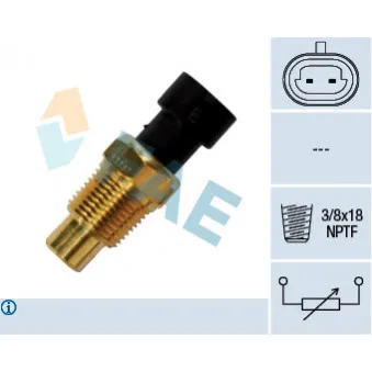 Sonde de température, liquide de refroidissement FAE 33331
