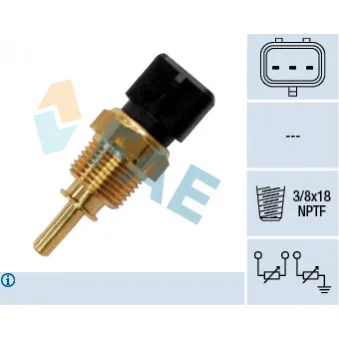 Sonde de température, liquide de refroidissement FAE 33355