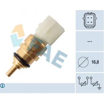 Sonde de température, liquide de refroidissement FAE 33357