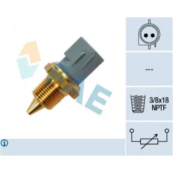 Sonde de température, liquide de refroidissement FAE 33430