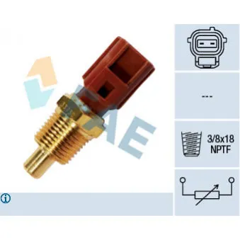 Sonde de température, liquide de refroidissement FAE 33730