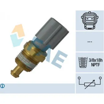 Sonde de température, liquide de refroidissement FAE 33734