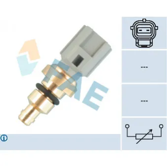 Sonde de température, liquide de refroidissement FAE 33736