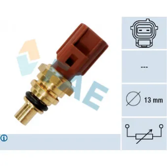 Sonde de température, liquide de refroidissement FAE 33740