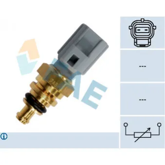 Sonde de température, liquide de refroidissement FAE 33745