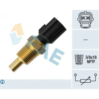 Sonde de température, liquide de refroidissement FAE 33755