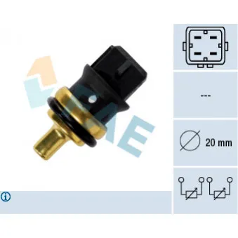 Sonde de température, liquide de refroidissement FAE 33785