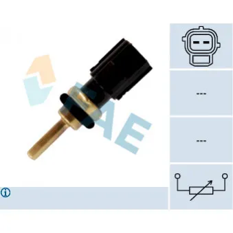 Sonde de température, liquide de refroidissement FAE