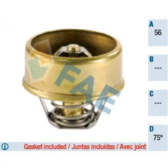 Thermostat d'eau FAE 5201875