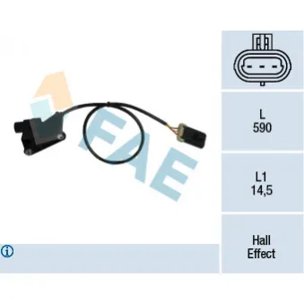 Palpeur de régime, gestion moteur FAE 79137