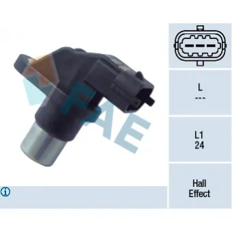 Palpeur de régime, gestion moteur FAE 79206