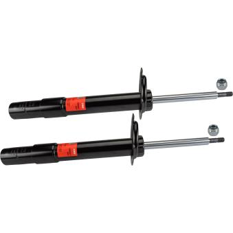 Jeu de 2 amortisseurs avant TRW