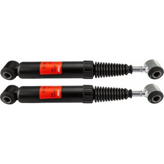 Jeu de 2 amortisseurs arrière TRW