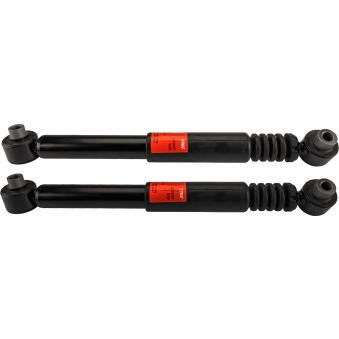 Jeu de 2 amortisseurs arrière TRW