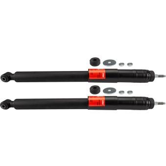 Jeu de 2 amortisseurs arrière TRW