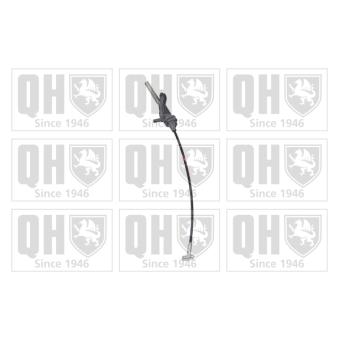 Tirette à câble, frein de stationnement QUINTON HAZELL