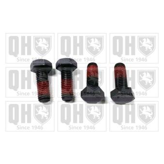 Boulon, étrier de frein QUINTON HAZELL