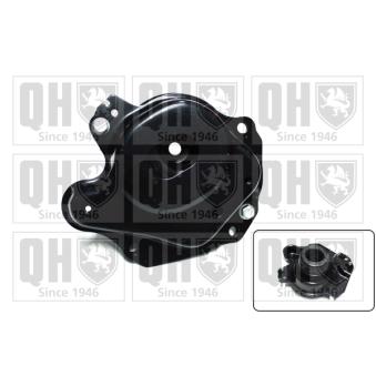 Suspension, boîte automatique QUINTON HAZELL