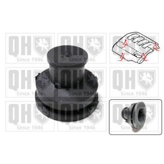 Butée élastique, cache moteur QUINTON HAZELL