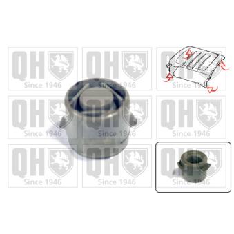 Éléments de fixation, cache moteur QUINTON HAZELL