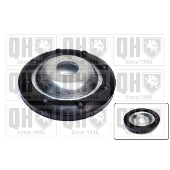 Patin de ressort QUINTON HAZELL