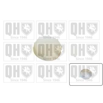 Bouchon, réservoir de liquide de refroidissement QUINTON HAZELL