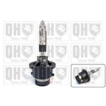 Ampoule QUINTON HAZELL QBL126G