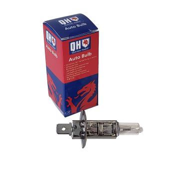 Ampoule, projecteur longue portée QUINTON HAZELL QBL448