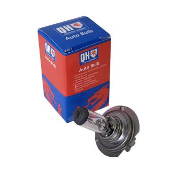 Ampoule, projecteur longue portée QUINTON HAZELL