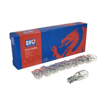 Ampoule QUINTON HAZELL