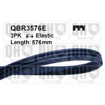 Courroie trapézoïdale à nervures QUINTON HAZELL