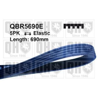 Courroie trapézoïdale à nervures QUINTON HAZELL QBR5690E