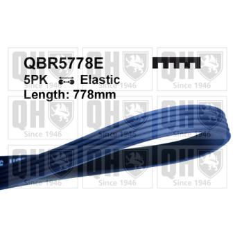 Courroie trapézoïdale à nervures QUINTON HAZELL QBR5778E