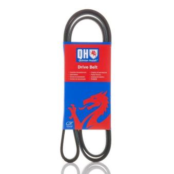 Courroie trapézoïdale à nervures QUINTON HAZELL QBR61700