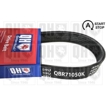 Courroie trapézoïdale à nervures QUINTON HAZELL