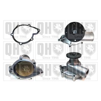 Pompe à eau QUINTON HAZELL