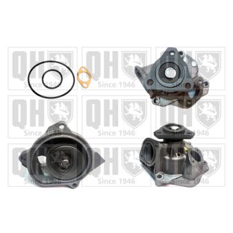 Pompe à eau QUINTON HAZELL QCP2665