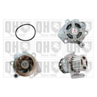 Pompe à eau QUINTON HAZELL